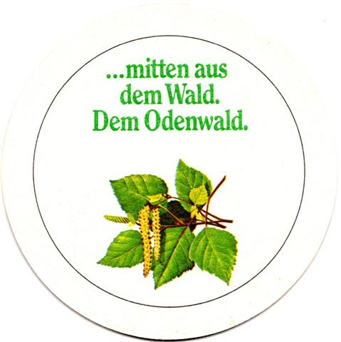 mossautal erb-he schmucker mitten 4b (rund215-birke) 